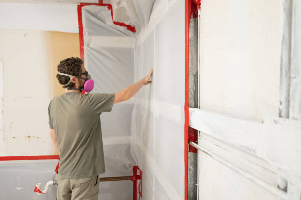 Mold Odor Removal Services in Fairfax, CA