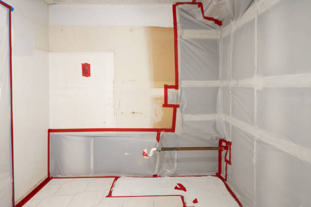 Best Crawl Space Mold Remediation  in Fairfax, CA