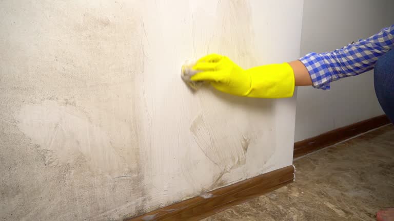 Biohazard Mold Removal in Fairfax, CA