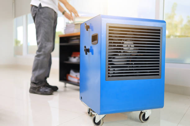Best Water Damage & Mold Remediation  in Fairfax, CA