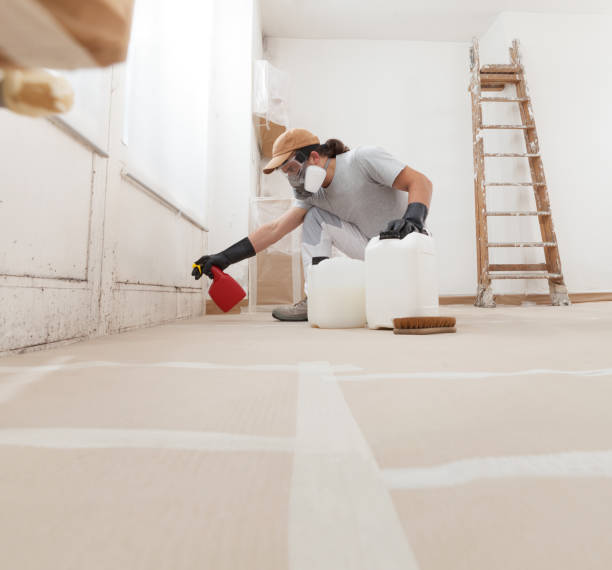 Best Post-Construction Mold Inspection  in Fairfax, CA